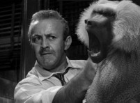 In quest'immagine di repertorio, un uomo di scienza strangola un babbuino wiccan